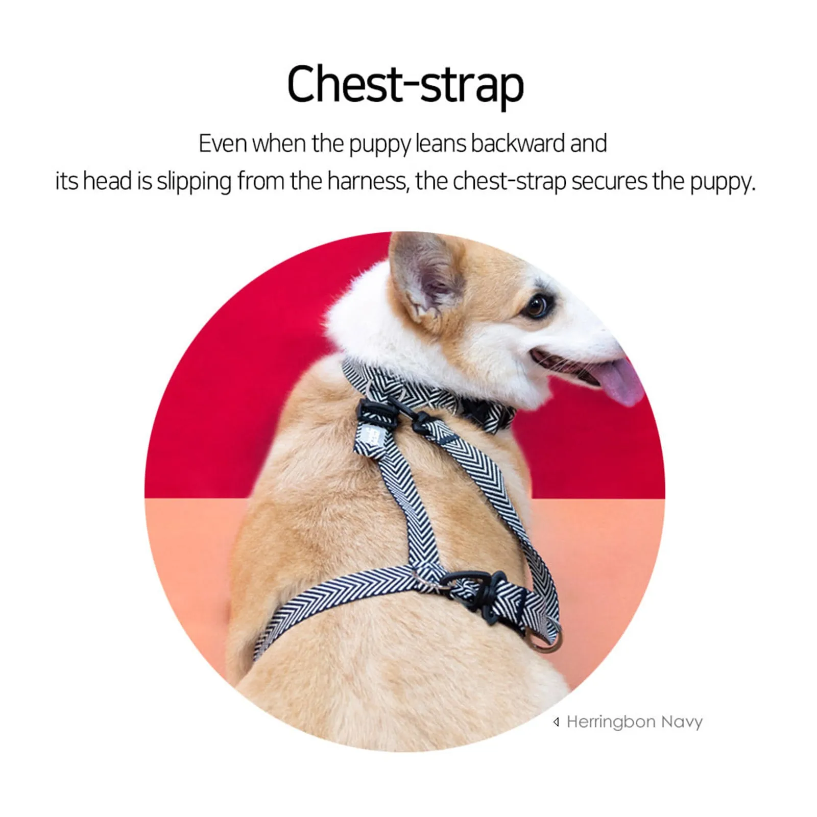 Adjustable No Pull Dog Harness with Double-Lined Straps - M Banhamsisun