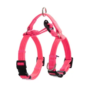 Adjustable No Pull Dog Harness with Double-Lined Straps - M Banhamsisun