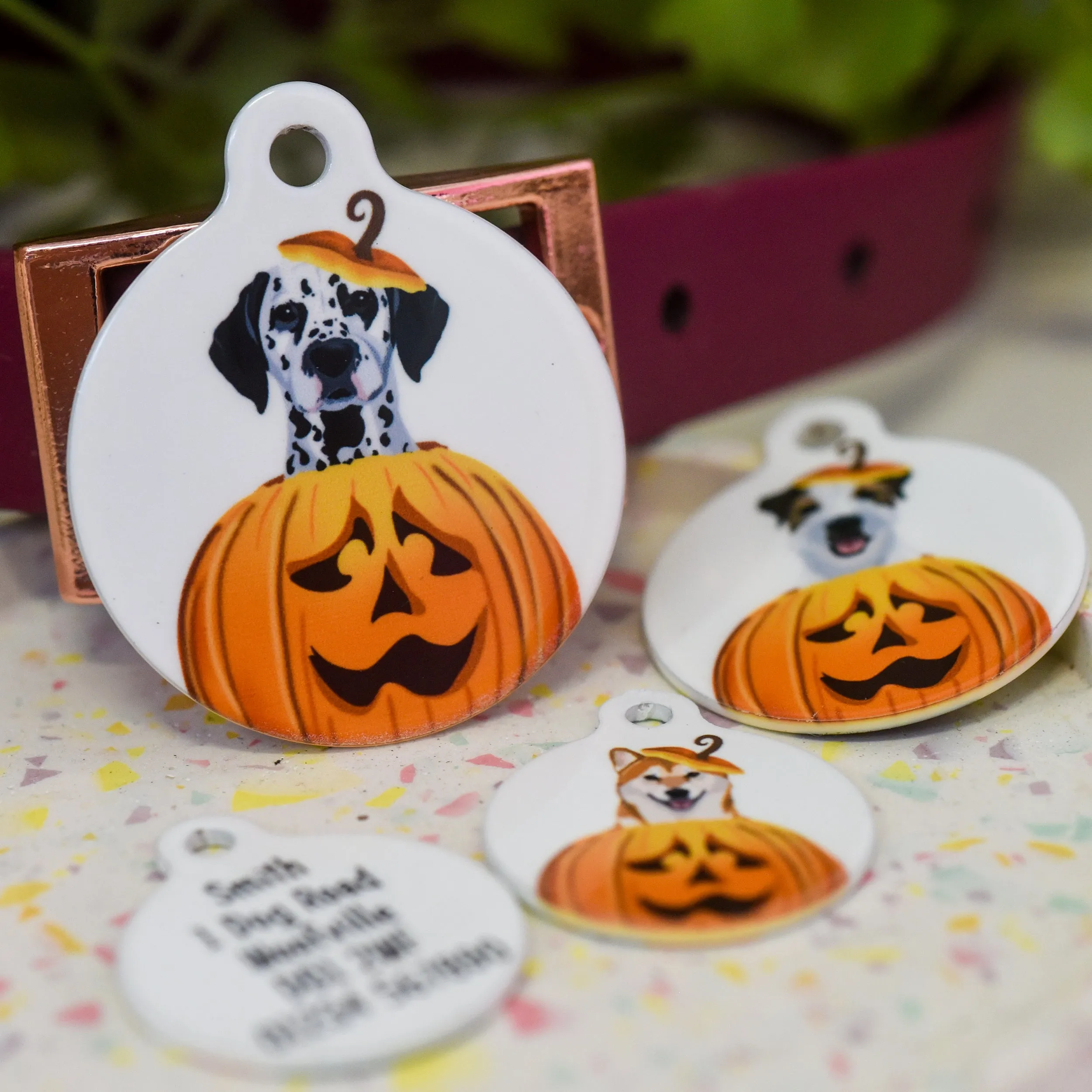 Dog ID Tag Personalised - Cute Pumpkin Halloween