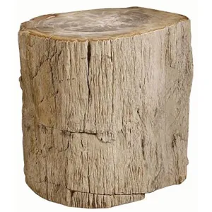 Petrified Wood Side Table