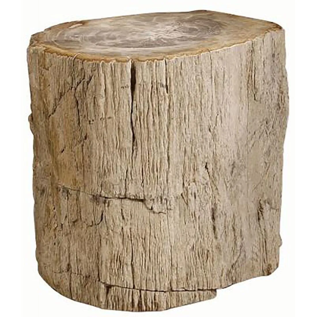 Petrified Wood Side Table